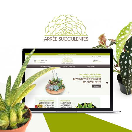 Arrée Succulentes