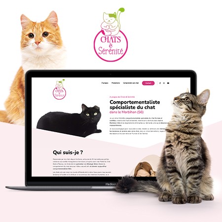 Chats et Sérénité